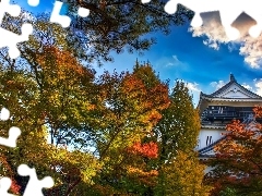 Japan, big Castle, autumn
