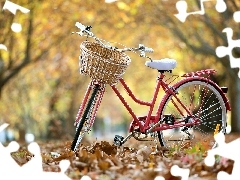 Bike, Leaf, autumn, Park