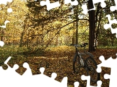 autumn, Bike, trees, viewes, Park