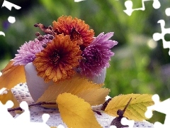 small bunch, twig, autumn, chrysanthemums