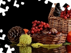 Baskets, Plant, harvest, cones, chestnuts, Autumn, composition