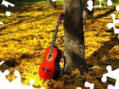 Guitar, Leaf, autumn, forest