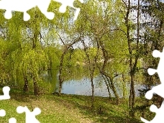 lake, viewes, autumn, trees