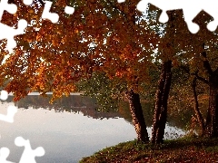 autumn, landscape, trees, viewes, lake