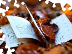 autumn, Book, Leaf