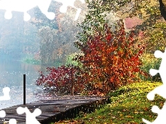 Fog, Platform, color, lake, wooden, autumn, Leaf