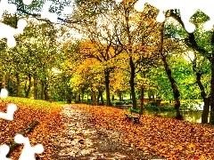 Park, River, autumn, Bench