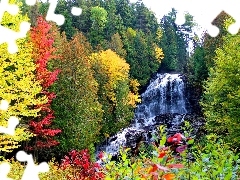 waterfall, viewes, autumn, trees