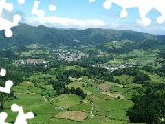 woods, field, Azores, Portugal, Houses, cultivated