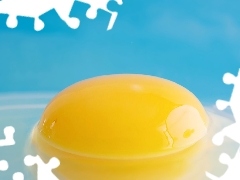 yolk, Blue, background, egg