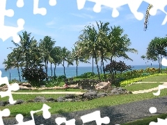 Park, Palms, Bali, bridges