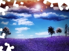 Violet, clouds, Balloons, Meadow