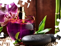 bamboo, perfume, orchids, Stones, composition