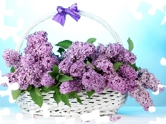 basket, without, bouquet