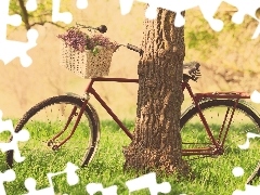 basket, Flowers, trees, grass, Bike