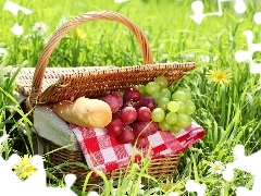 basket, grass, grapes