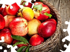 basket, Fruits, nectarines