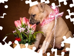 Flowers, basket, Puppy, Artificial, dog