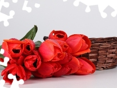 Red, wicker, basket, Tulips