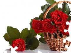 basket, Flowers, roses