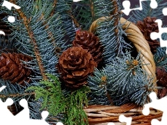 Twigs, cones, basket, conifer