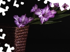 Violet, wicker, basket, gladiolus