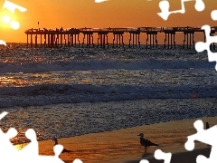 sea, gulls, Beaches, pier