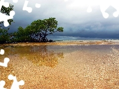 trees, water, Beaches, viewes