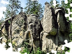 Town, rocks, Adrspach, bed-rock, Czech Republic