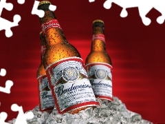 Budweiser, Beer