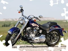 driving, Harley Davidson Softail, belt