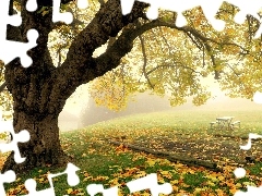 Leaf, Meadow, Bench, autumn, Fog, trees