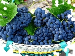 basket, apples, Bench, grapes