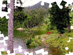 lake, Spruces, Bench, forest