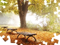 Leaf, autumn, car in the meadow, bench, forest