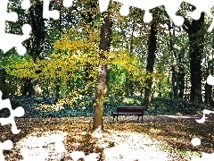 Bench, Autumn, Park