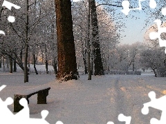 trees, winter, Bench, snow, viewes, Park