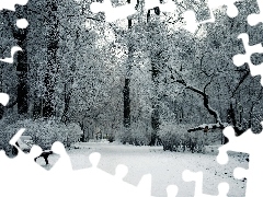 Bench, winter, trees, viewes, Park