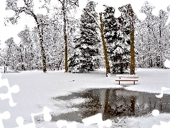 Bench, winter, trees, viewes, Park