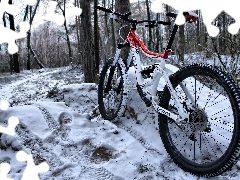Bike, winter, forest
