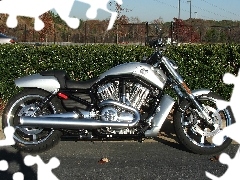 Harley Davidson V-Rod Muscle, silver, motor-bike