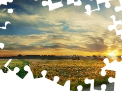 woods, field, east, Way, Meadow, Bike, sun