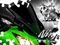 Becks - motorbike, Motorcyclist, motor-bike, Green, Kawasaki ZX-10R Ninja