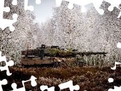 tank, grass, birch, Leopard 2a5