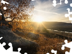 trees, rays of the Sun, Stones, The Hills, autumn, birch-tree, River