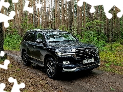 forest, black, Toyota Land Cruiser