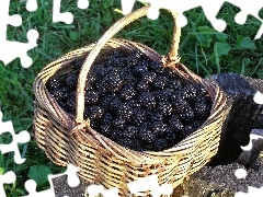 basket, blackberries