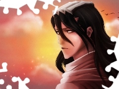 bleach, Kuchiki, Byakuya