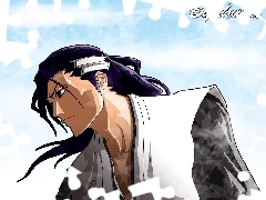 bleach, Byakuya, captain