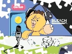 radio, HEADPHONES, bleach, teddybear